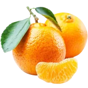 Саженцы мандарина