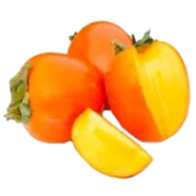 Саженцы хурмы