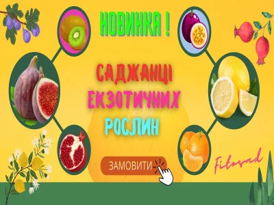 Экзотические саженцы: удивительные растения для вашего уникального сада