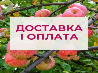 Легко и быстро: Информация о Доставке и Оплате в Нашем Интернет-Магазине Саженцев