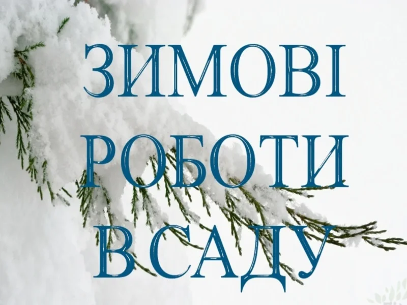Мастер-класс по Зимнему Уходу за Садом: Шаги к Здоровому и Плодородному Сезону