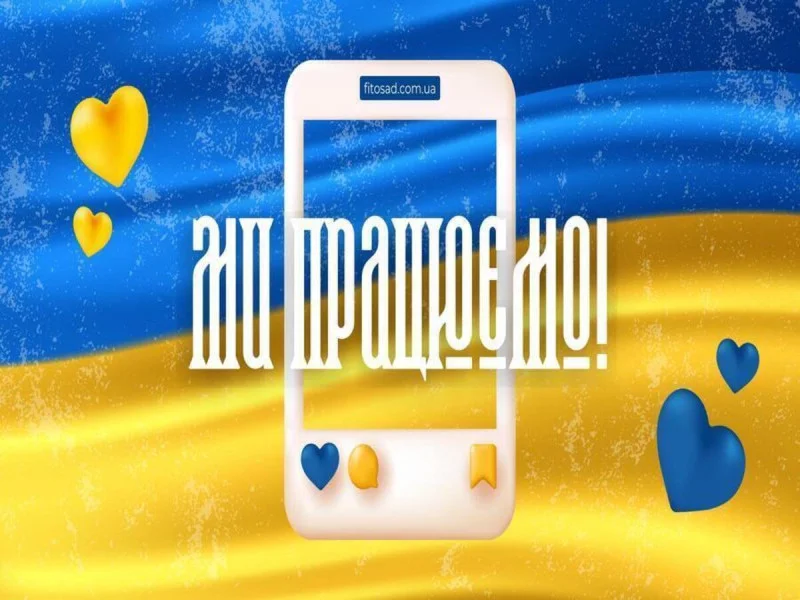 "Почему следует покупать саженцы у нас?