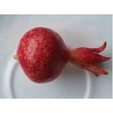 Гранат Нана